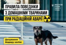 Як поводитись з домашніми улюбленцями в разі радіаційної небезпеки, яку дозу йодиду калію давати