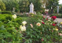 Сьогодні у Вінниці хмарна погода Хмарна погода