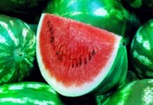 Кавуни вже на прилавках Вінниччини: популярний фрукт для заспокоєння спраги в літню спеку популярний фрукт