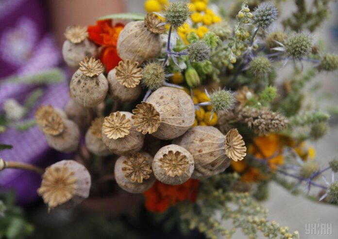 Розклад богослужінь