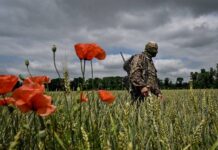 Міністерство освіти запроваджує новий навчальний курс для школярів про мінну безпеку Мінні поля