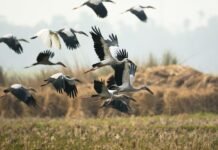 Сонячно і спекотно: погода у Вінниці на сьогодні, 20 серпня Прогноз погоди