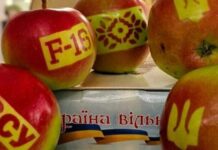 Вирощені з любовʼю: яблука з написами «ЗСУ» та F-16 на фермі у Вінницькій області Мартинівське поле