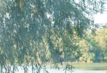 Риболовний турнір у Вінниці: важливий крок у реабілітації та підтримці поранених воїнів Турнір з риболовлі