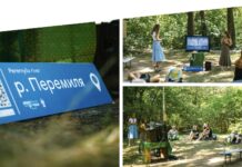 Ticket to the Sun 2023