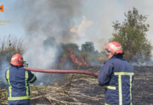 Рятувальники врятували літнє подружжя під час масштабної пожежі на Вінниччині рятувальники виїхали 13 разів