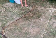 Двоє рибалок на Вінниччині незаконно виловили раків на суму майже два мільйони гривень вилов раків