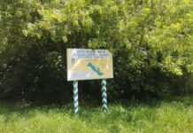 Вінничан запрошують на велопрогулянку до Буго-Деснянського заказника