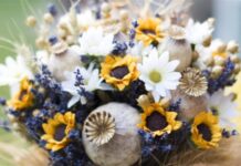 Традиції та забобони на свято Медового Спасу або Маковія Маковія