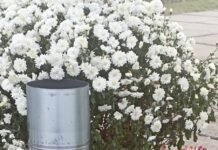 В Оратові відстріляні гільзи перетворили на вази для квітів та встановили на Алеї пам’яті