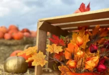 27 жовтня, Вінницький зоопарк організовує гарбузові вихідні: вхід для дітей безкоштовний Подільський зоопарк