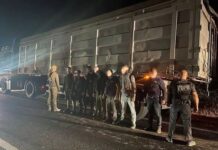 На Вінниччині прикордонники знайшли ухилянтів у вантажівці. Відео Вінницькі прикордонники