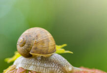 У Вінниці хмарна погода хмарна погода