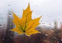 Погода у Вінниці 24 жовтня погода