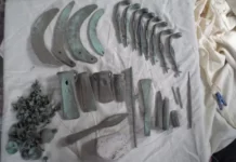 Таємниці минулого: на Вінниччині археологи знаходять скарби виявляти скарби