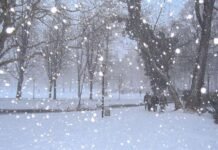 Одягайтеся тепліше, морозець: погода у Вінниці на сьогодні, 19 листопада буде похмурою