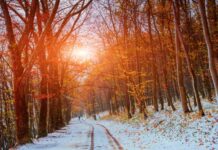 Хмарно і без опадів: погода у Вінниці на сьогодні, 28 грудня хмарна погода