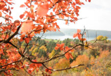 Прогноз погоди у Вінниці на 1 листопада Погода у Вінниці