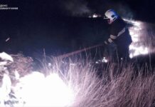 На Вінниччині знову палають екосистеми: Бійці ДСНС ліквідували п’ять загорянь за останню добу