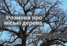 У Вінниці відбудеться розмова про міські дерева