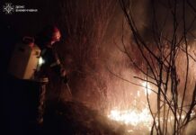 Погоріло 16 гектарів. На Вінниччині продовжують фіксувати пожежі в екосистемах