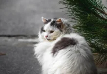 Погода у Вінниці 18 лютого