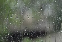 У Вінниці 29 жовтня очікується дощовий ранок і хмарний день дощ