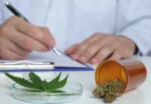 Розвінчуємо міфи про медичний канабіс