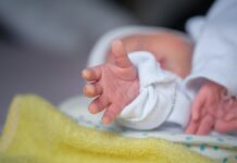 Спад народжуваності та 228 млн євро допомоги Україні: головні новини 22 лютого