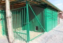 Новий пункт тимчасової перетримки для безпритульних собак облаштували у Калинівці