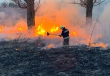 За добу на Вінниччині сталося 17 пожеж в екосистемах