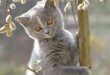 Сьогодні на вінничан очікує сонячна погода