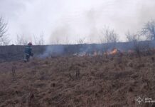 На Вінниччині 11 пожеж в екосистемах за добу