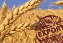 В лютому Україна експортувала рекордний обсяг пшениці