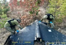 На Вінниччині виявили чотири уламки БПЛА