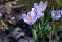 Погода у Вінниці 1 квітня