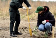 На Вінниччині волонтери UAnimals та лісівники відновлюють ліс