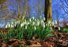 Сьогодні у Вінниці без опадів