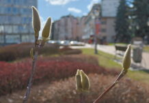 Захопіть парасольку: У Вінниці похмура дощова погода погода у Вінниці