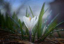 Погода у Вінниці 11 березня