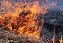 Під час спалювання сухої трави на Вінниччині загинув чоловік