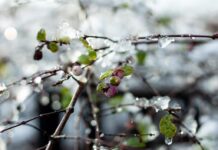 Погода у Вінниці 18 березня