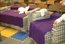 Картонні стільці та паперові дивани: креативна ініціатива учнів школи №5