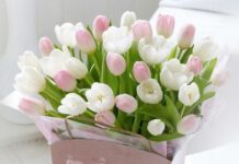 Сьогодні у Вінниці сонячна погода