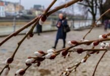Прогноз погоди у Вінниці на 4 березня