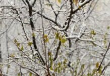 Погода у Вінниці 21 березня