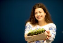 На Вінниччині стартувала стартувала щорічна благодійна акція «Посій насіння»