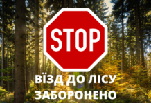 Вінничанам нагадують про заборону відвідувати ліс