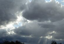 Сьогодні у Вінниці похмура погода