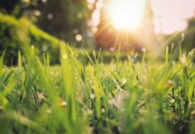 У Вінниці зафіксували новий температурний рекорд